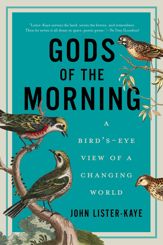 Gods of the Morning - 15 Aug 2015