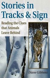 Stories in Tracks & Sign - 6 Aug 2002