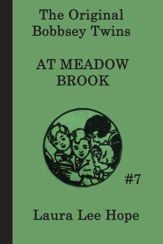 The Bobbsey Twins at Meadow Brook - 27 Mar 2013