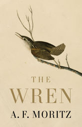 The Wren - 7 Apr 2026