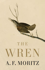 The Wren - 7 Apr 2026