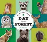 Animal Adventures: Day in the Forest - 28 Jan 2025