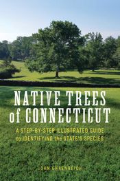 Native Trees of Connecticut - 1 Mar 2022
