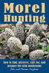 Morel Hunting - 2 Mar 2011
