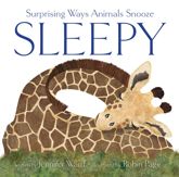 Sleepy - 9 Jul 2024